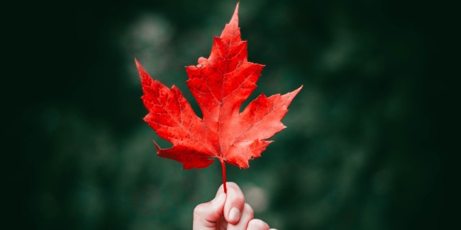 无论是留学，或是移民，为什么选择加拿大？